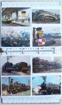 Album 262 Cartes Postales Affiches Gravures Peintures Anciennes + Doc