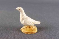 Clairet - The Farm - Farmyard Pigeon (White)