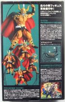 Fist of the North Star Revolution - Uighur - Kaiyodo Revoltech