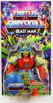 Les Maitres de l\'Univers : Turtles of Grayskull - Beast Man