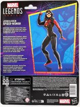 Marvel Legends - Jessica Drew Spider-Woman (Spider-Man 1994 Animated Series) - Série Hasbro