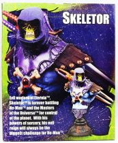 Masters of the Universe 200X - Neca - Mini-Buste Skeletor