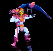 Masters of the Universe Origins - Skeletor & Screeech (USA Version)