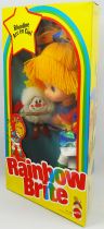 Rainbow Brite - Mattel - 9\  Doll - Rainbow Brite & Twink Sprite (Box France)