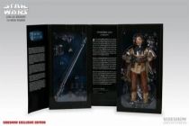 Star Wars - Sideshow Collectibles - Heroes of the Rebellion - Princess Leia as Boushh