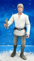 Star Wars (Loose) - Kenner/Hasbro - Luke Skywalker (Without T-16 Skyhopper Model) POTF2