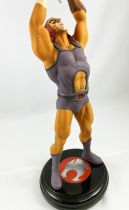 Thundercats (Cosmocats) - Statue Résine 40cm - Lion-O (Starlion) Fan Art (pièce unique)