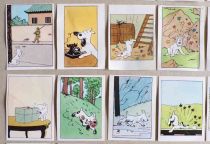 Tintin - Complete set of 64 Honey Bubble Gum Chromos - Snowy Competition