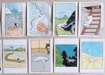 Tintin - Complete set of 64 Honey Bubble Gum Chromos - Snowy Competition