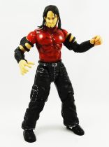 WWE Jakks Pacific - Matt Hardy (loose)