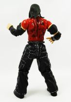 WWE Jakks Pacific - Matt Hardy (loose)