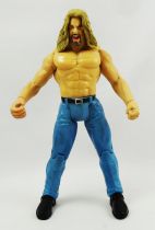 WWE Jakks Pacific - Triple H (loose)