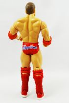 WWE Jakks Pacific - William Regal (loose)